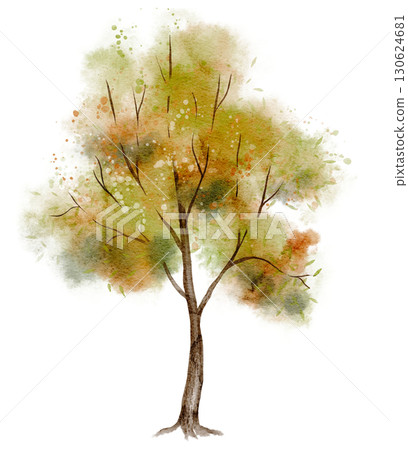 Watercolor illustration of autumn Tree with orange and green foliage. Drawing of forest plant on isolated background. Art for landscapes and woodland scenes. Sketch for fall design. Watercolor illustration of autumn Tree with orange and green foliage. Drawing of forest plant on isolated background. Art for landscapes and woodland scenes. Sketch for fall design. 130624681