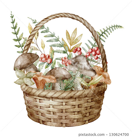 Watercolor Basket filled with mushrooms, berries and foliage. Illustration of autumn harvest composition with fungus and cranberry with red fruits for seasonal greeting cards or woodland invitations. Watercolor Basket filled with mushrooms, berries and foliage. Illustration of autumn harvest composition with fungus and cranberry with red fruits for seasonal greeting cards or woodland invitations. 130624700