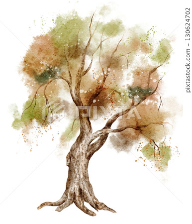Watercolor tree with green and orange foliage. Illustration of woodland flora for botanical autumn or summer projects and forest compositions. Art on isolated background for landscapes and scenes. Watercolor tree with green and orange foliage. Illustration of woodland flora for botanical autumn or summer projects and forest compositions. Art on isolated background for landscapes and scenes. 130624702