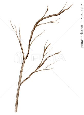 Dry leafless branch painted by watercolor. Illustration of autumn twig of tree for fall rustic seasonal design. Art of trunk on isolated background. Sketch for ecology projects and cliparts. Dry leafless branch painted by watercolor. Illustration of autumn twig of tree for fall rustic seasonal design. Art of trunk on isolated background. Sketch for ecology projects and cliparts. 130624706