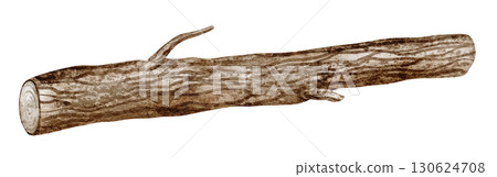 Watercolor illustration of Tree Log with bark texture on isolated background. Drawing of dry Trunk for rustic and woodland design. Art of forest element for autumn seasonal botanical compositions. Watercolor illustration of Tree Log with bark texture on isolated background. Drawing of dry Trunk for rustic and woodland design. Art of forest element for autumn seasonal botanical compositions. 130624708