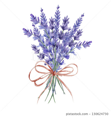 Bouquet of lavender tied with beige ribbon and bow. Rustic style. Watercolor illustration of purple flowers isolated on white background. For invitations, greeting cards, weddings. Fragrant herbs 130624730