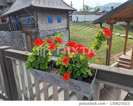 Red geranium flowers in a metal pot on balcony railing near rustic wooden houses. Village charm and floral detail. Red geranium flowers in a metal pot on balcony railing near rustic wooden houses. Village charm and floral detail. 130625023