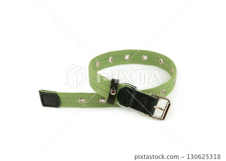 Green Fabric Dog Collar on a White Background 130625318