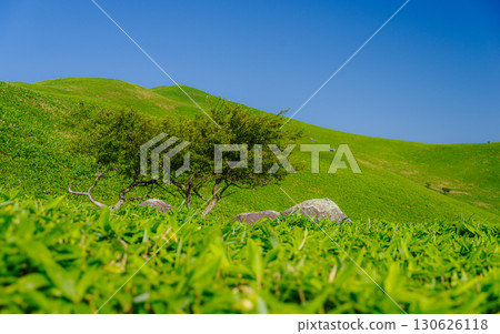 Nagano Japan Highland Landscape with Lush Green Hills 130626118