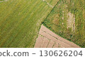 aerial view of the rice fields 130626204