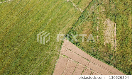 aerial view of the rice fields 130626204