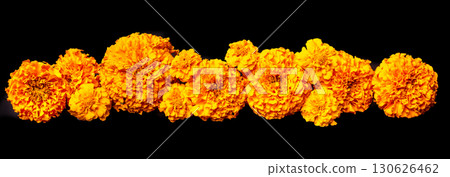 Orange Marigold Flowers as garland on black background 130626462