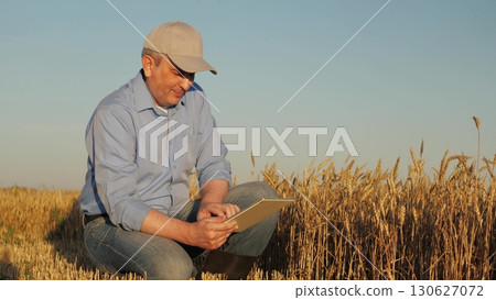 Technician examines wheat plants with technology, Rural worker analyzes grain quality under the blue sky, Farmer using modern tech in traditional farming, Crop specialist studies the condition of a 130627072