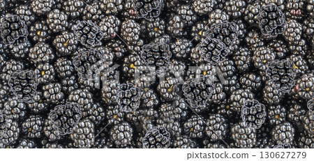 Fresh blackberry texture background pattern 130627279