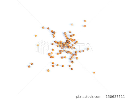 Coriander Seeds Isolated, Cilantro Grains, Chinese Parsley Seed Group, Dry Spices, Seasonings 130627511