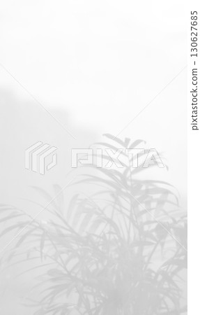 Sunlight on curtain, blurred shadow tulle background, sheer curtains, silk veil fabric Sunlight on curtain, blurred shadow tulle background, sheer curtains, silk veil fabric 130627685