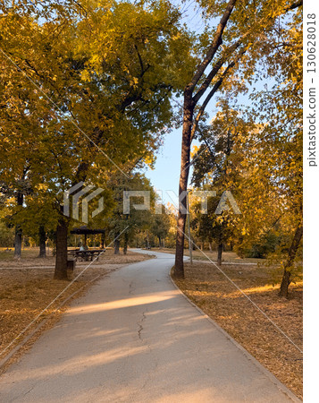 Curved pathway with wooden bench under trees in urban park. Seasonal atmosphere, outdoor leisure and natural wellness with calm recreation and everyday lifestyle routine. Curved pathway with wooden bench under trees in urban park. Seasonal atmosphere, outdoor leisure and natural wellness with calm recreation and everyday lifestyle routine. 130628018