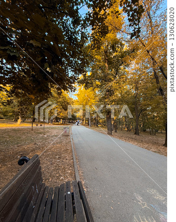 Autumn pathway with trees and wooden bench in quiet park. Recreation, leisure, health, relaxation and urban environment with natural atmosphere and seasonal outdoor lifestyle. Autumn pathway with trees and wooden bench in quiet park. Recreation, leisure, health, relaxation and urban environment with natural atmosphere and seasonal outdoor lifestyle. 130628020
