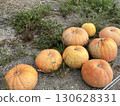 A big pumpkin 130628331