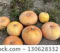 A big pumpkin 130628332