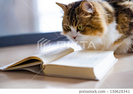 閱讀 cat_8 130628341