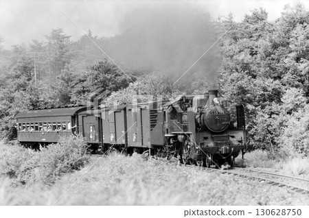 Koumi Line steam locomotive 130628750