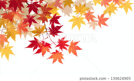 Colorful autumn leaves on a branch 130628905