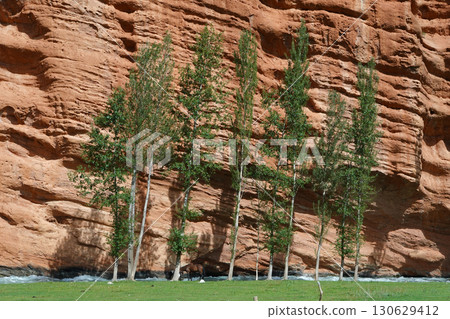 Kyrgyzstan_Trail along the Djuk River_Darkhan Outcrop 130629412