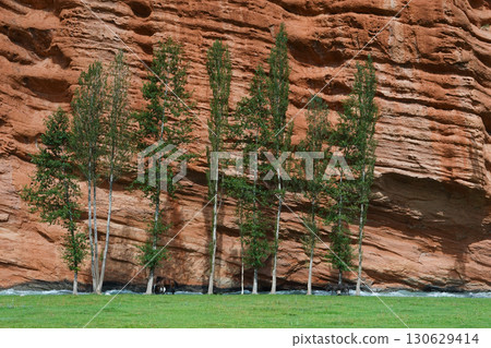 吉爾吉斯斯坦_久克河沿岸步道_達爾汗露頭 130629414