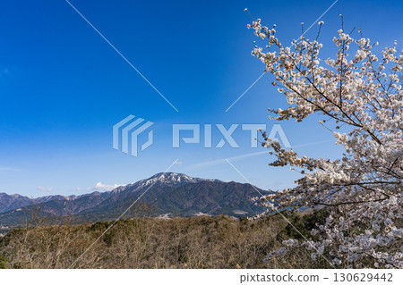 A distant view of Mt. Ena in spring A distant view of Mt. Ena in spring 130629442