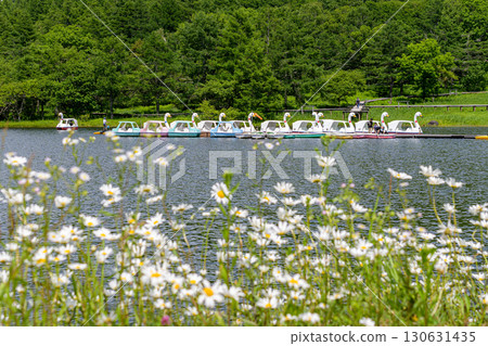 Lake Goddess 130631435