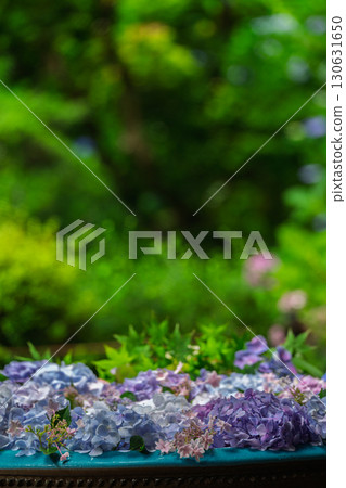 京都府木津川市加茂鎮甘泉寺的繡球花 130631650