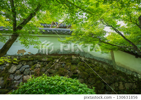 拍攝京都府京田邊市一休寺的新鮮綠色 拍攝京都府京田邊市一休寺的新鮮綠色 130631856