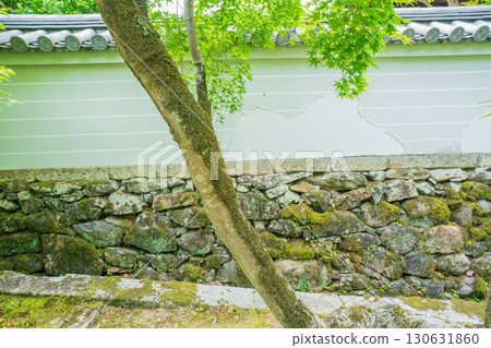 Photographing the fresh green of Ikkyuji Temple in Kyotanabe City, Kyoto Prefecture Photographing the fresh green of Ikkyuji Temple in Kyotanabe City, Kyoto Prefecture 130631860