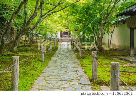 Photographing the fresh green of Ikkyuji Temple in Kyotanabe City, Kyoto Prefecture Photographing the fresh green of Ikkyuji Temple in Kyotanabe City, Kyoto Prefecture 130631861