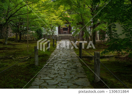 Photographing the fresh green of Ikkyuji Temple in Kyotanabe City, Kyoto Prefecture 130631864