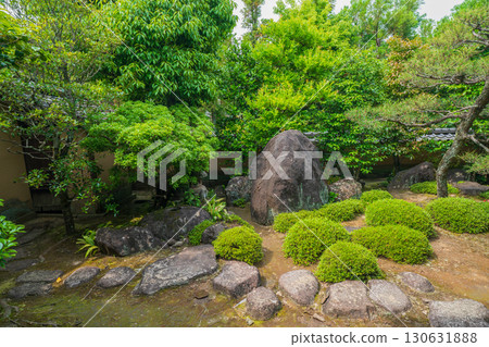 拍攝京都府京田邊市一休寺的新鮮綠色 拍攝京都府京田邊市一休寺的新鮮綠色 130631888