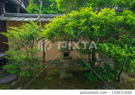 拍攝京都府京田邊市一休寺的新鮮綠色 130631889