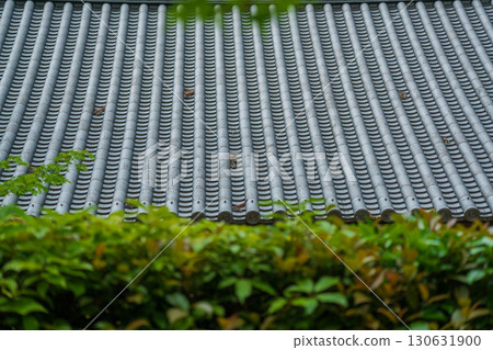 Photographing the fresh green of Ikkyuji Temple in Kyotanabe City, Kyoto Prefecture 130631900