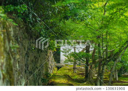 Photographing the fresh green of Ikkyuji Temple in Kyotanabe City, Kyoto Prefecture 130631908