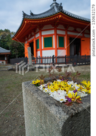 Photographing the vermilion-hued Hakkakudo Hall in Yawata, Kyoto Prefecture Photographing the vermilion-hued Hakkakudo Hall in Yawata, Kyoto Prefecture 130632179