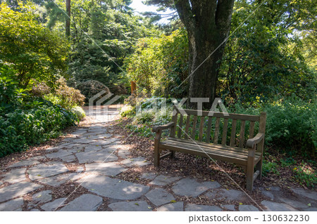 群馬縣澀川市赤城自然公園散步道 130632230