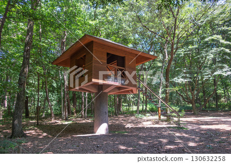 群馬縣澀川市赤城自然公園樹屋 群馬縣澀川市赤城自然公園樹屋 130632258