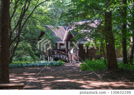 群馬縣澀川市赤城自然公園昆蟲館 群馬縣澀川市赤城自然公園昆蟲館 130632299