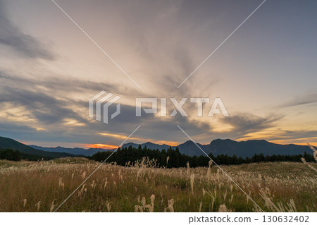 曾爾高原的金色芒草宣告奈良縣曾爾村深秋的到來。 曾爾高原的金色芒草宣告奈良縣曾爾村深秋的到來。 130632402
