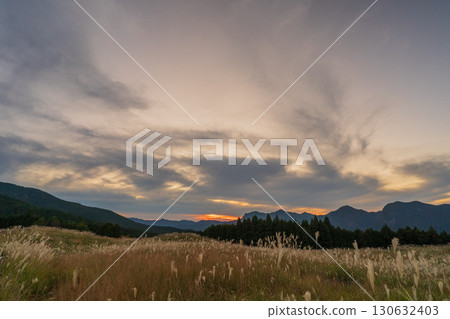 曾爾高原的金色芒草宣告奈良縣曾爾村深秋的到來。 曾爾高原的金色芒草宣告奈良縣曾爾村深秋的到來。 130632403