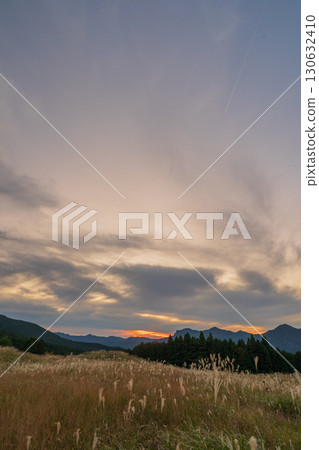 The golden silver grass of the Soni Plateau heralds the arrival of late autumn in Soni Village, Nara Prefecture. The golden silver grass of the Soni Plateau heralds the arrival of late autumn in Soni Village, Nara Prefecture. 130632410