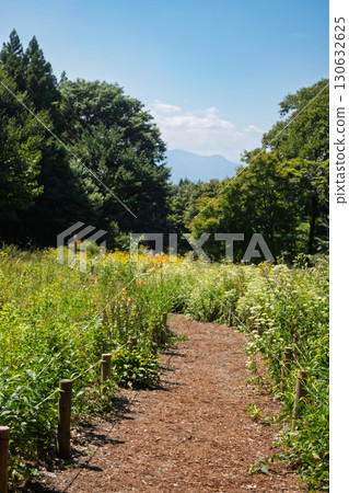 Akagi Nature Park, Flower Field Promenade, Shibukawa City, Gunma Prefecture 130632625