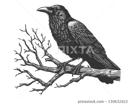 raven perched on branch raster illustration 130632822