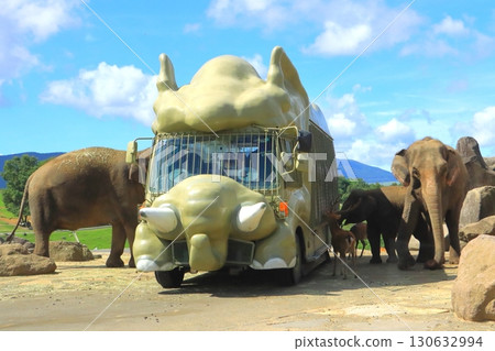 Asian Elephant (African Safari) Asian Elephant (African Safari) 130632994