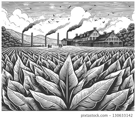 Tobacco Field with Industrial Factory Landscape 130633142