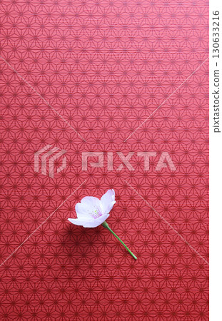 A single cherry blossom and a red background A single cherry blossom and a red background 130633216