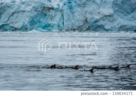 Swimming and Jumping Penguins among the Antarctic Sea Ice Swimming and Jumping Penguins among the Antarctic Sea Ice 130634171