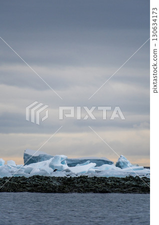 Impression of the Adelie Penguin Colony at the fish islands Impression of the Adelie Penguin Colony at the fish islands 130634173